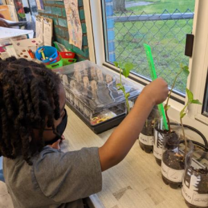 blue-cross-complete-child-growing-learning-michigan