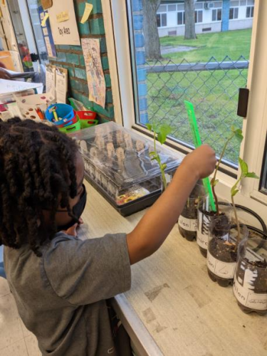 blue-cross-complete-child-growing-learning-michigan